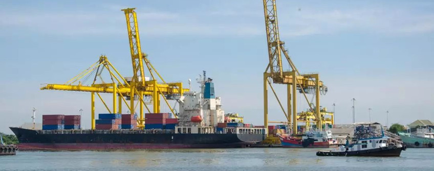 若何应对疫情下的海运市场困境？