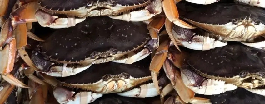 水产进口：海鲜进口从香港中转内地若何清关？