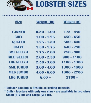 问鼎国际(中国区) - 官方网站