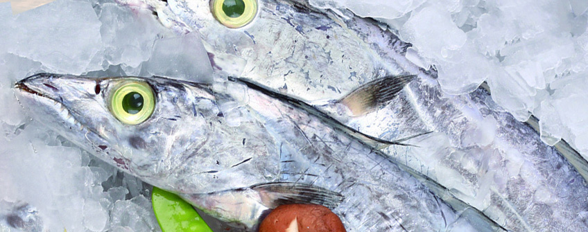 冻带鱼进口报关当苦衷项？