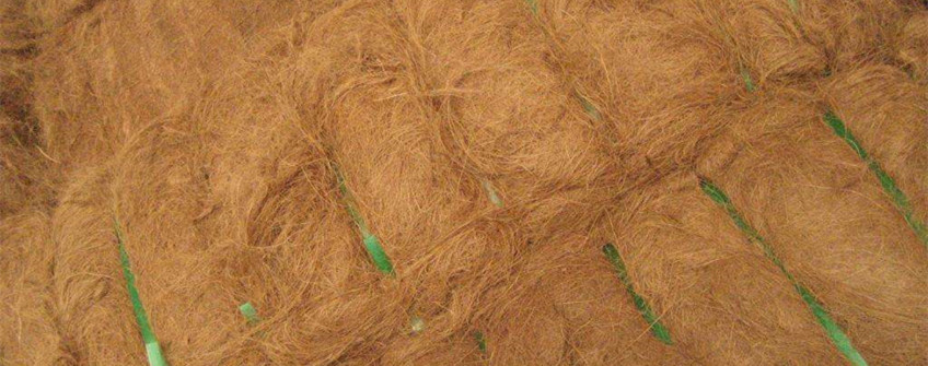 广州清关：印度椰壳纤维进口清关解决规划