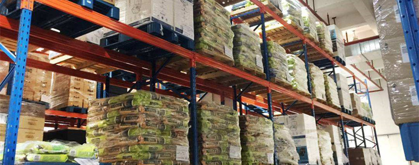  进口宠物粮若何挑？