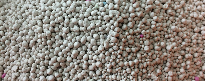 猫砂从国表若何进口到国内？