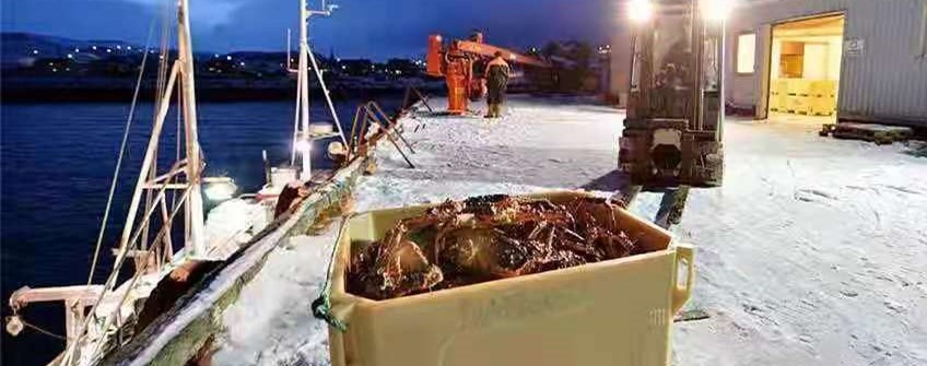 国表活海鲜进口广州能够清关吗？