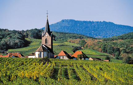 葡萄酒进口报关：法国红酒进口报关身分有哪些？